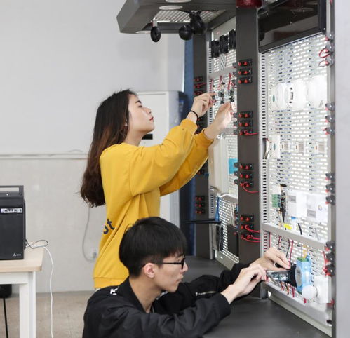 物联网应用技术 聚焦于培养高素质的物联网领域技术人才