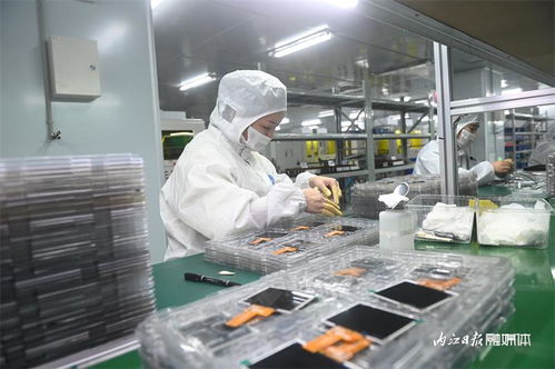 节后第一天,内江这家企业铆足干劲赶订单