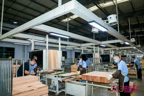 久盛地板：深化供应链与研发技术，构建模塑领域高品质健康生活新标杆