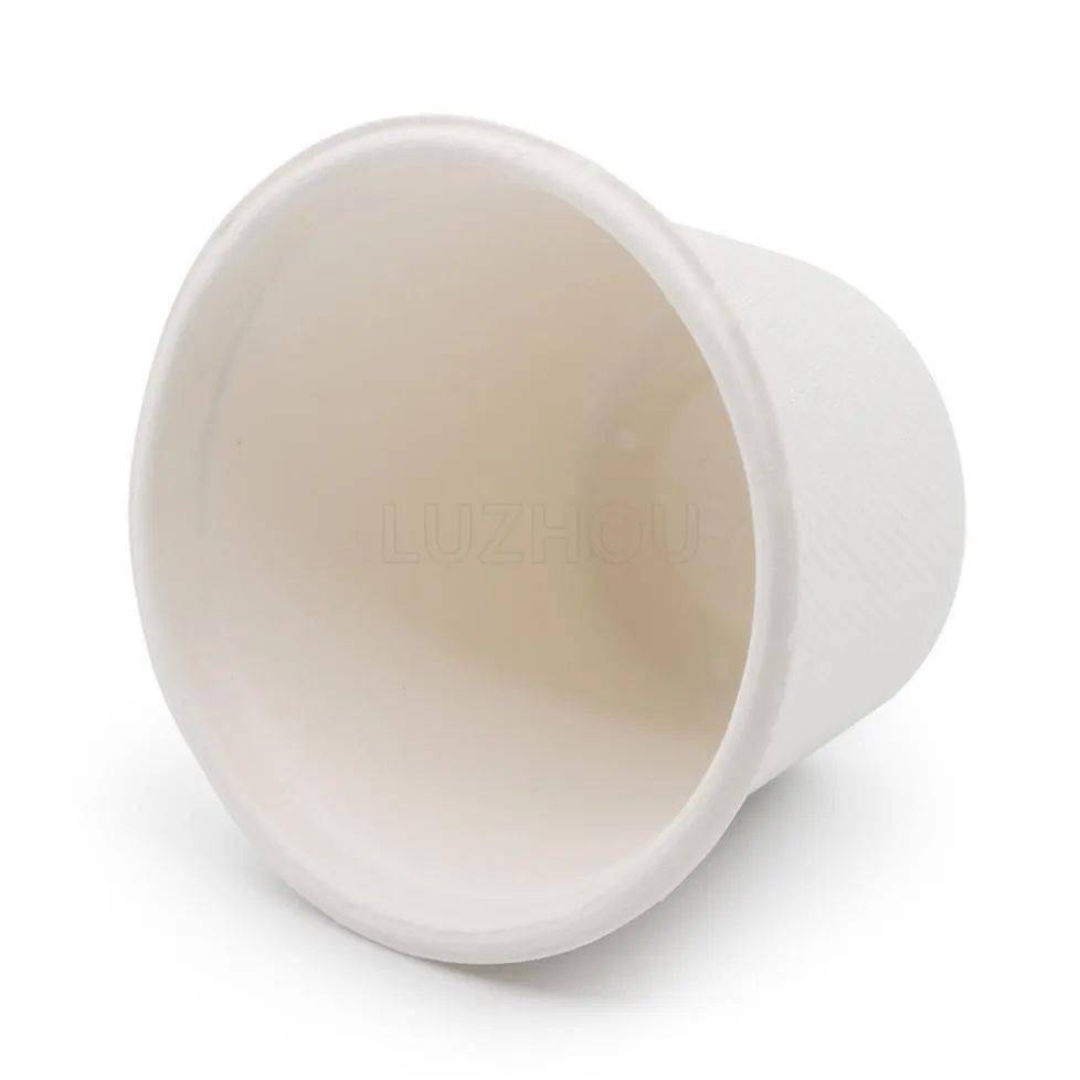 植物纤维技术在可降解纸浆模塑包装制品研发中的创新与应用