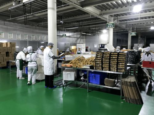 袁健 研发高品质苦荞种植技术，以科技创新带动种植户致富奔康