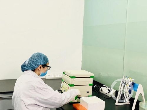 有望填补国内空白 重庆这家研发机构的靶向纳米抗体药物取得新进展